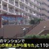 江戸川区西葛西